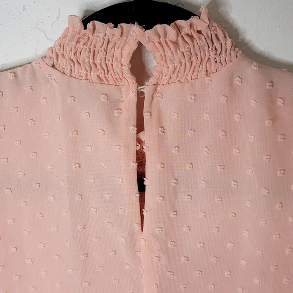 Peachy Pink Swiss Dot Dress with High Smocked Collar - Picture 3 of 7